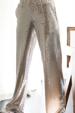 Jeff Rihana Silver Sequin Trousers* Skirts & Trousers
